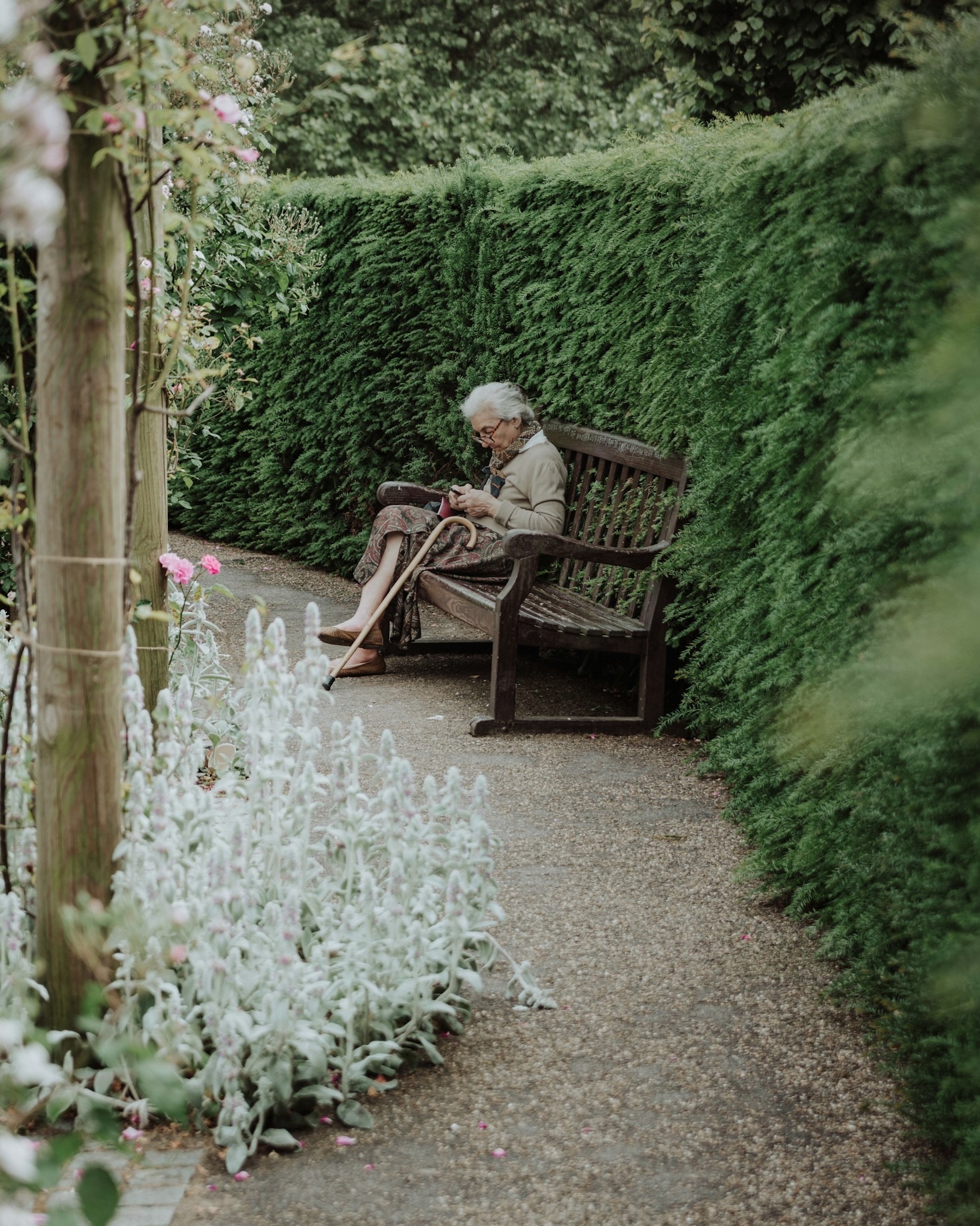 Daily Mindful Habits for Lifelong Mental Clarity